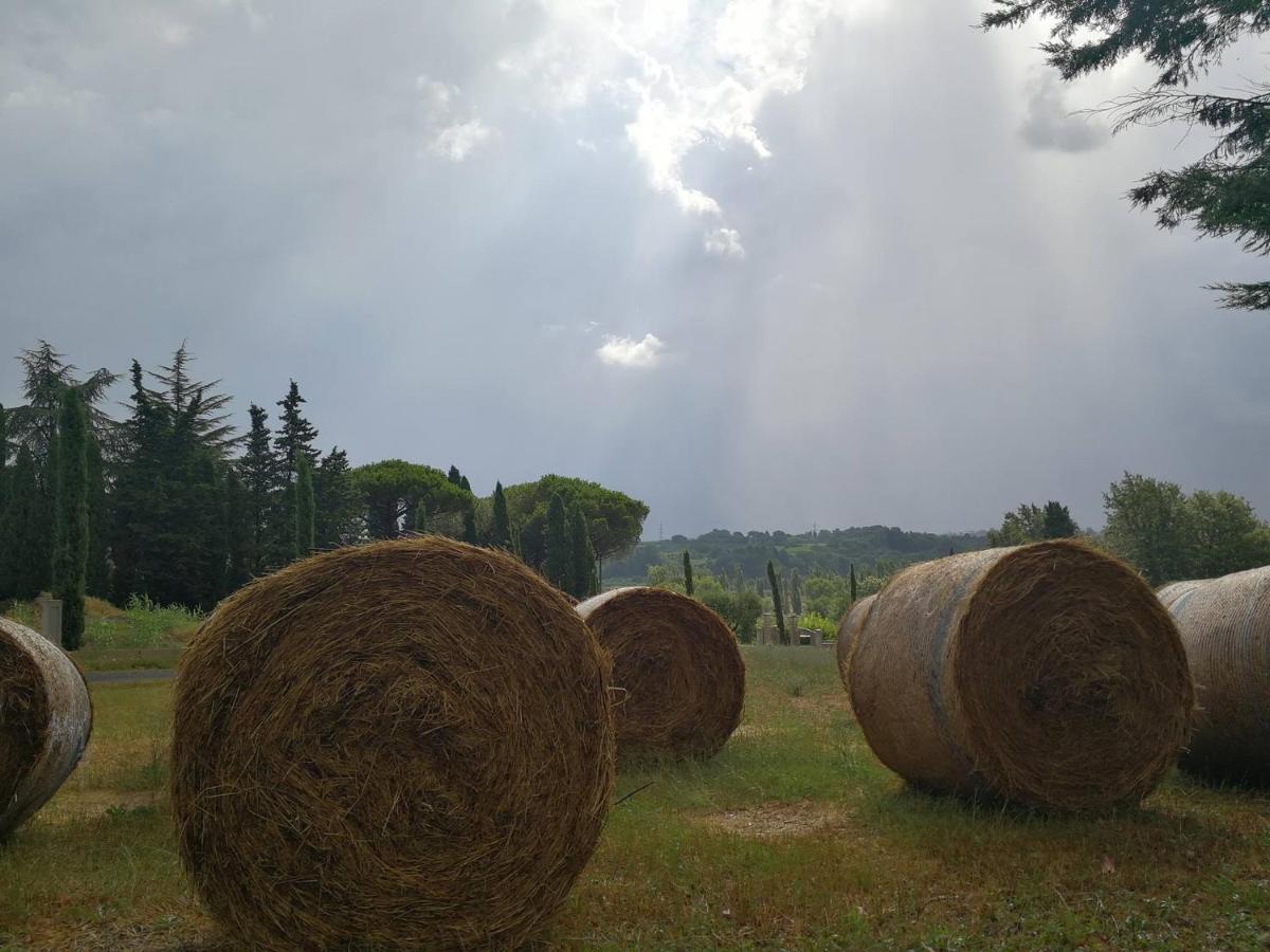 Masseria Le Querciole Fauglia Екстериор снимка
