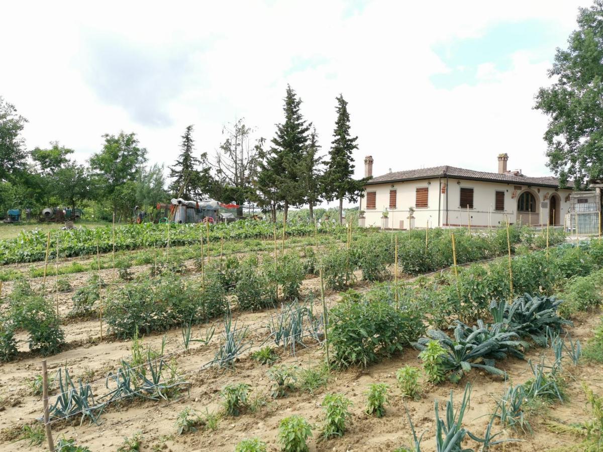 Masseria Le Querciole Fauglia Екстериор снимка