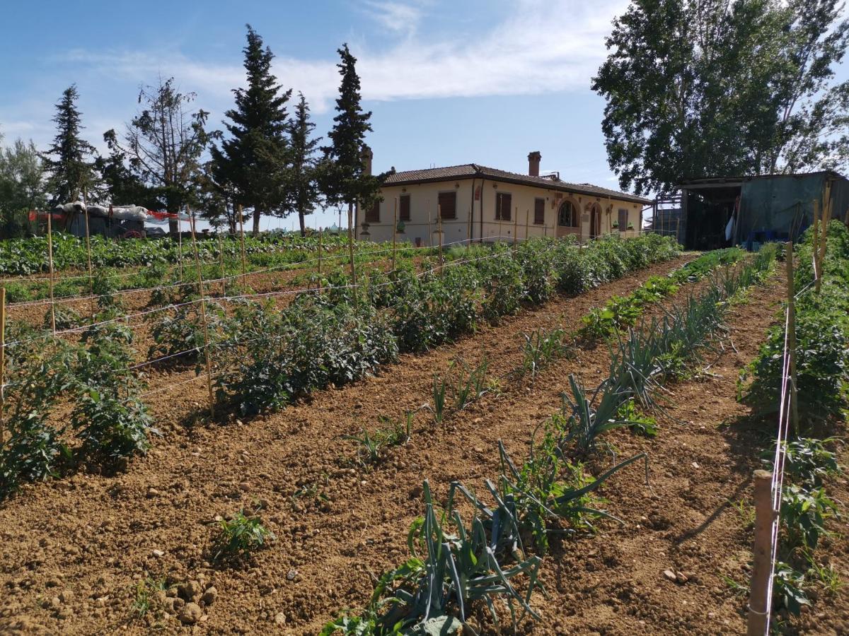 Masseria Le Querciole Fauglia Екстериор снимка